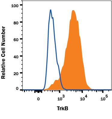 Detection of TrkB antibody in Human TrkB transfected C6 Cell Line antibody by Flow Cytometry.