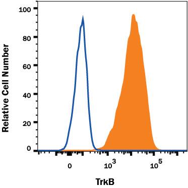 Detection of TrkB antibody in Human TrkB transfected C6 Cell Line antibody by Flow Cytometry.