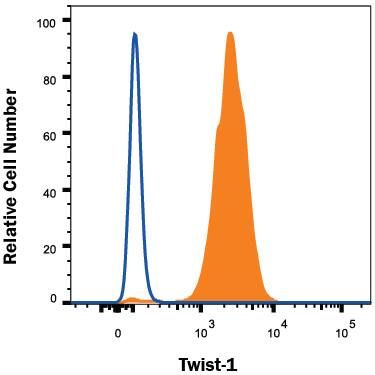 Detection of Twist-1 antibody in A549 Human Cell Line antibody by Flow Cytometry.