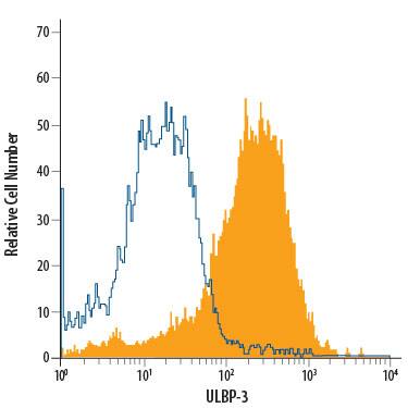 Detection of ULBP-3 antibody in BaF3 Mouse Cell Line Transfected with Human ULBP-3 antibody by Flow Cytometry.