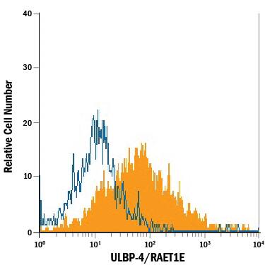 Detection of ULBP-4/RAET1E antibody in HepG2 Human Cell Line antibody by Flow Cytometry.