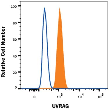 Detection of UVRAG antibody in Daudi Human Cell Line antibody by Flow Cytometry.