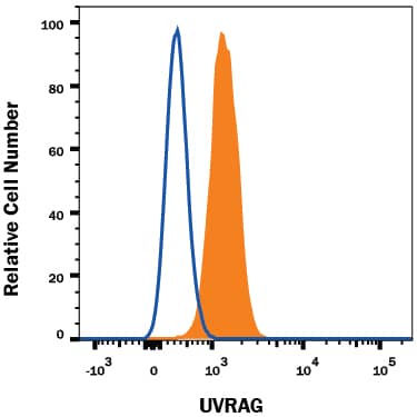 Detection of UVRAG antibody in Daudi Human Cell Line antibody by Flow Cytometry.