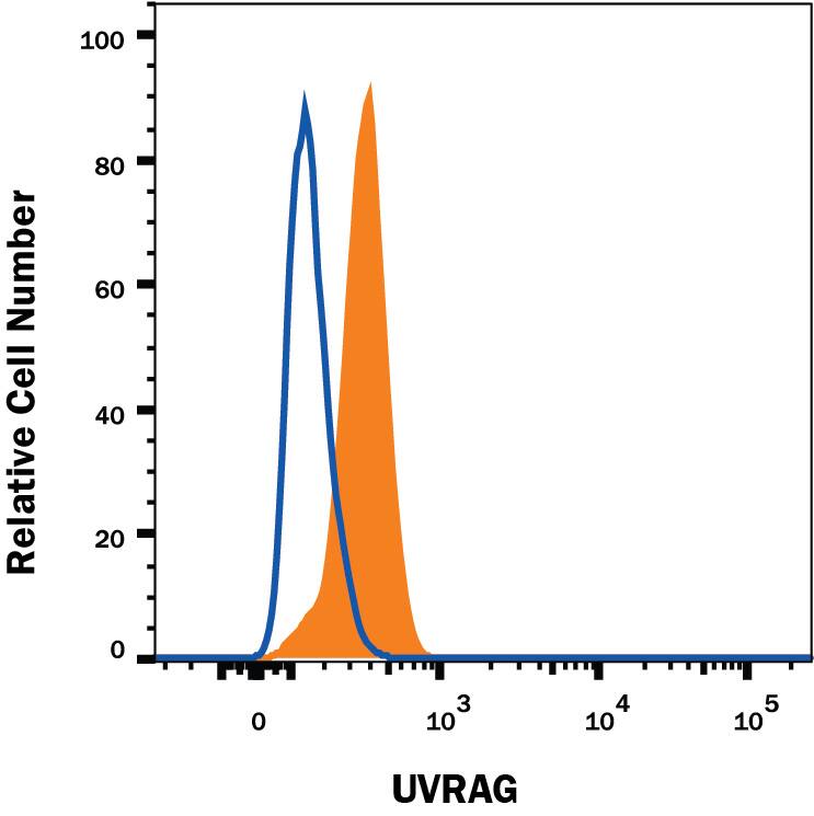 Detection of UVRAG antibody in Raji Human Cell Line antibody by Flow Cytometry.