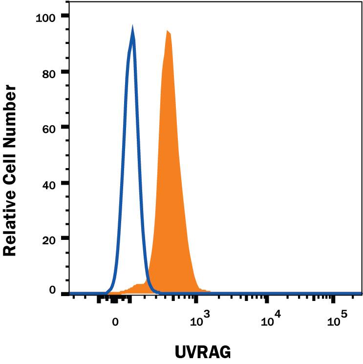 Detection of UVRAG antibody in Daudi Human Cell Line antibody by Flow Cytometry.