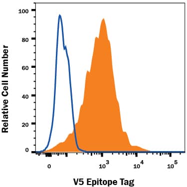 Detection of V5 Epitope Tag antibody in HEK293 Human Cell Line Transfected with V5-tagged Proteins antibody by Flow Cytometry.