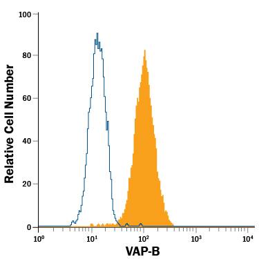 Detection of VAP-B antibody in T98G Human Cell Line antibody by Flow Cytometry.