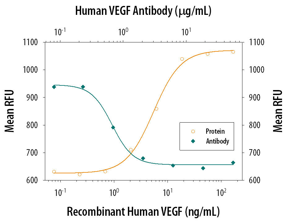 Cell Proliferation Induced by VEGF165and Neutralization by Human VEGF Antibody.