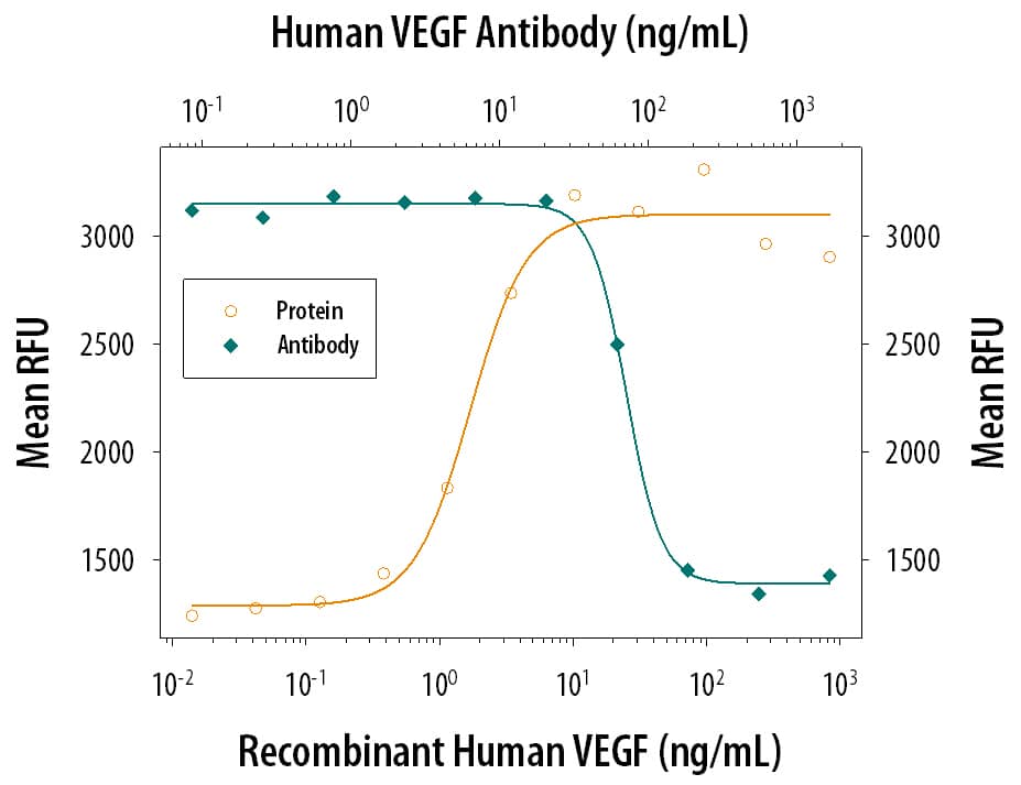 Cell Proliferation Induced by VEGF165and Neutralization by Human VEGF Antibody.