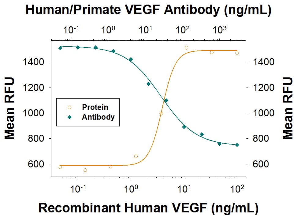 Cell Proliferation Induced by VEGF165and Neutralization by Human VEGF Antibody.