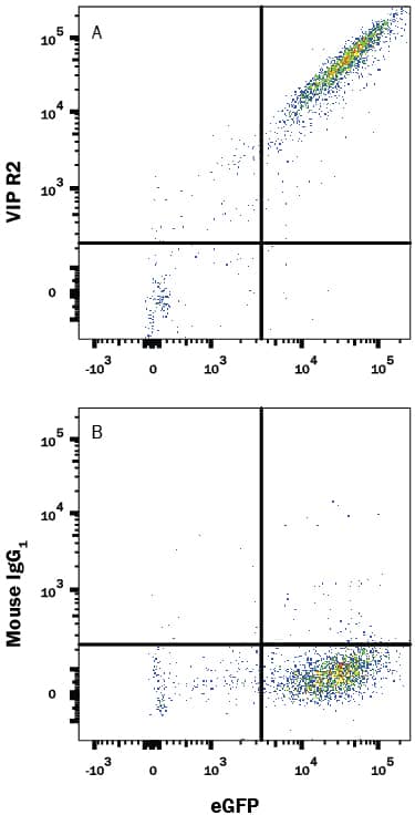 Detection of VIP R2 antibody in HEK293 Human Cell Line Transfected with Human VIP R2 and eGFP antibody by Flow Cytometry.