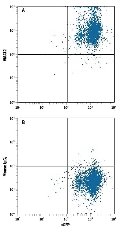 Detection of VMAT2 antibody in HEK293 Human Cell Line Transfected with Human VMAT2 and eGFP antibody by Flow Cytometry.