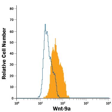 Detection of Wnt-9a antibody in MCF-7 Human Cell Line antibody by Flow Cytometry.