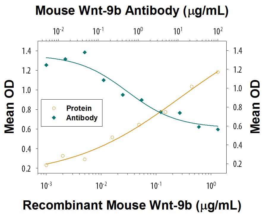 Alkaline Phosphatase Production Induced by Wnt‑9b and Neutralization by Mouse Wnt‑9b Antibody.