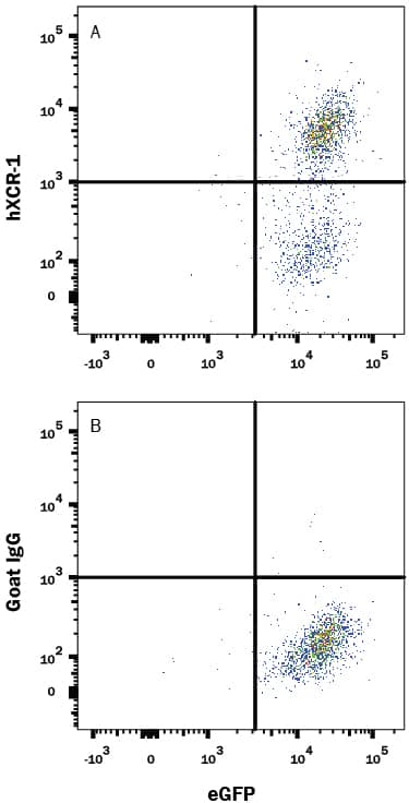 Detection of XCR1 antibody in NS0 Mouse Cell Line Transfected with Human XCR-1 and eGFP antibody by Flow Cytometry.