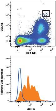 Detection of XCR1 antibody in CD141+HLA-DR+Human Blood Monocytes antibody by Flow Cytometry.