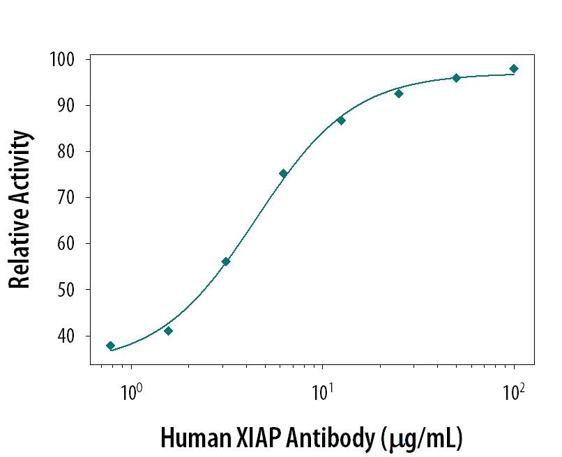 Neutralization of XIAP Activity by Human XIAP Antibody.