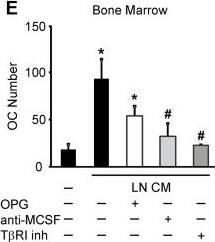 Detection of Human M-CSF by Block/Neutralize
