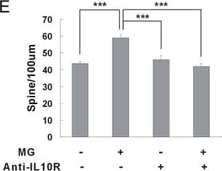 Detection of Mouse IL-10R alpha by Block/Neutralize