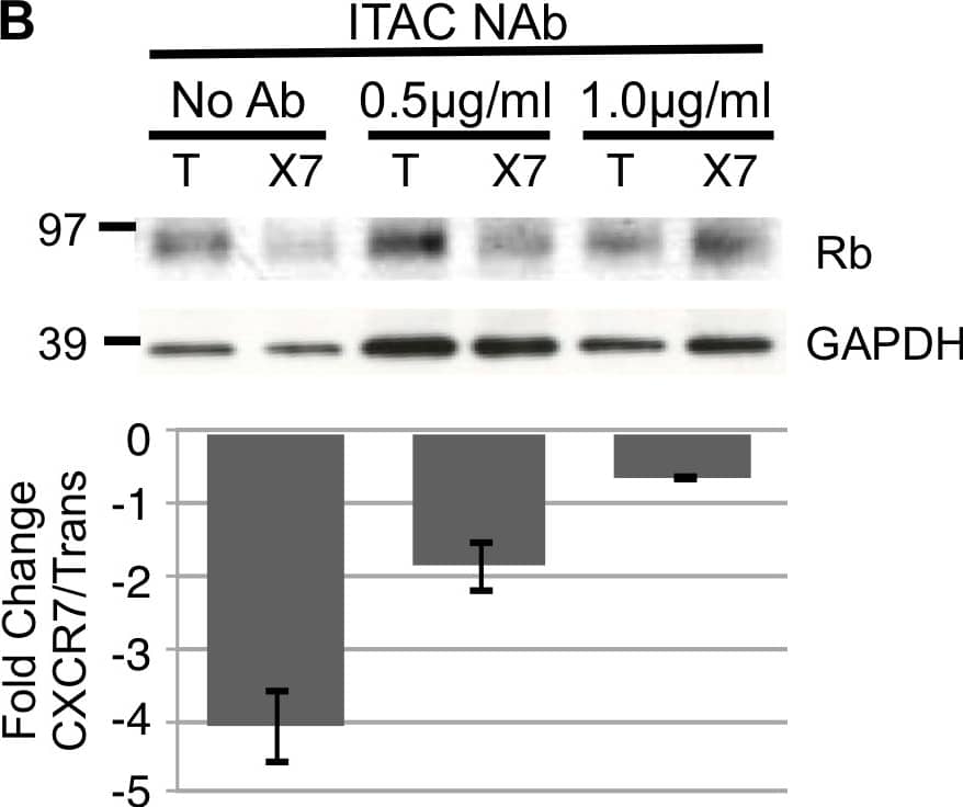 Detection of Human CXCL11/I-TAC by Block/Neutralize