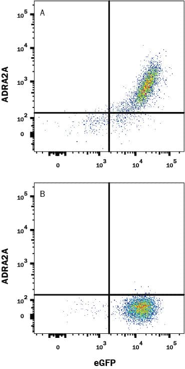 Detection of ADRA2A antibody in HEK293 Human Cell Line Transfected with Human ADRA2A and eGFP antibody by Flow Cytometry.