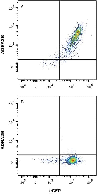 Detection of ADRA2B antibody in HEK293 Human Cell Line Transfected with Human ADRA2B and eGFP antibody by Flow Cytometry.