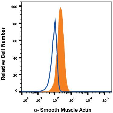 Detection of a-Smooth Muscle Actin antibody in Human Blood Monocytes antibody by Flow Cytometry.