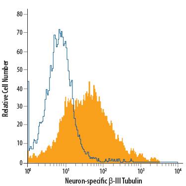Detection of  beta-III Tubulin antibody in Rat Cortical Stem Cells antibody by Flow Cytometry.