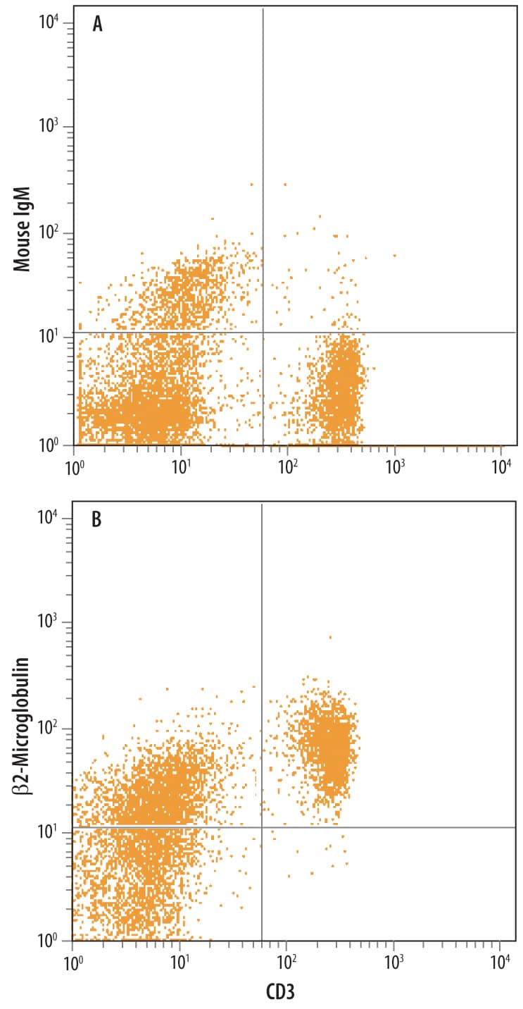 Detection of Rat  beta2-Microglobulin antibody in Rat Splenocytes.