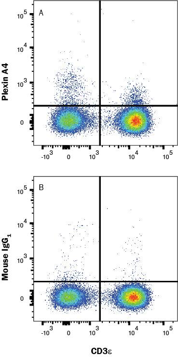 Detection of Plexin A4 antibody in Human Blood Lymphocytes antibody by Flow Cytometry.