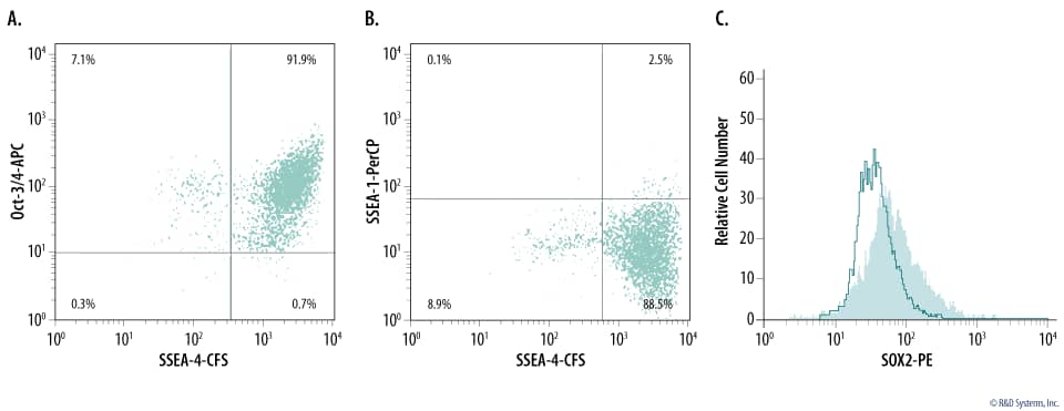 Verification of Human BG01V Embryonic Stem Cell Pluripotency by Multi-Color Flow Cytometry.