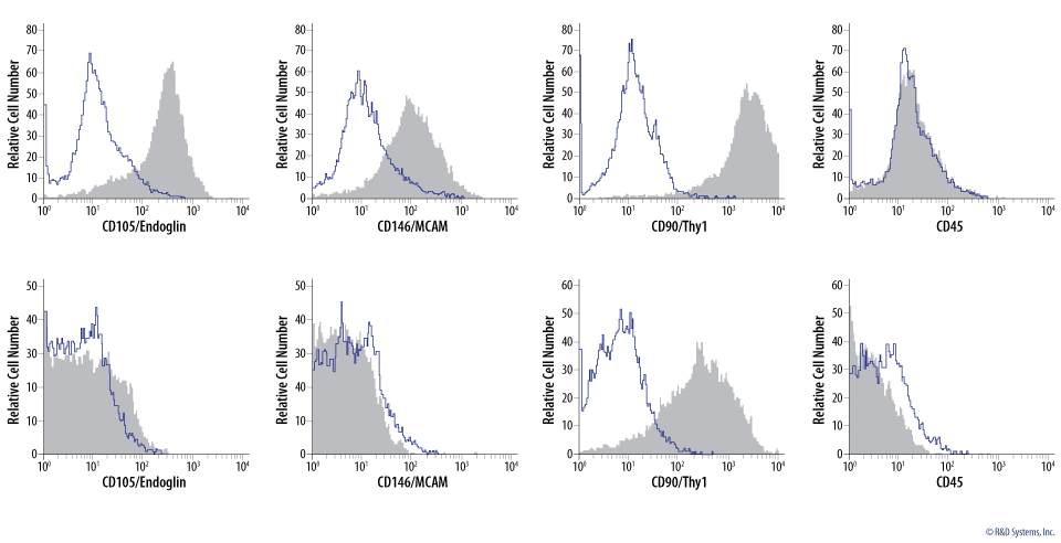 Verification of Mesenchymal Stem/Stromal Cell Identity by Analysis of Mesenchymal Stem/Stromal Cell Marker Expression.