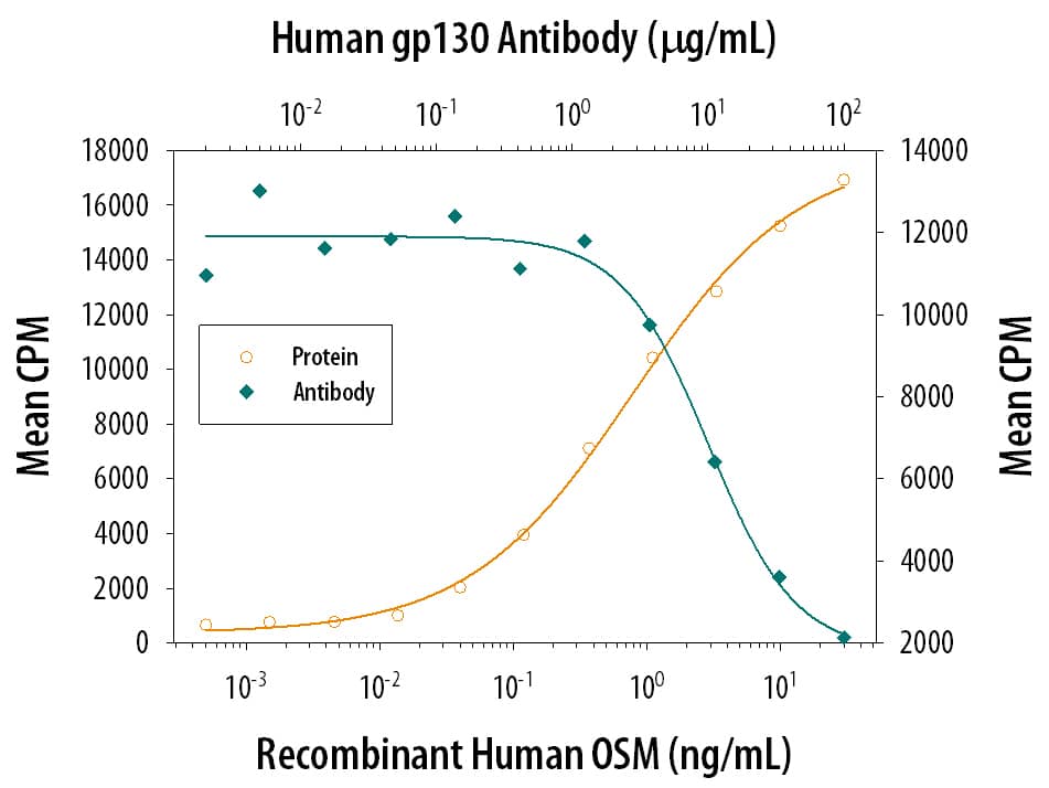 Cell Proliferation Induced by Oncostatin M/OSM and Neutralization by Human gp130 Antibody.