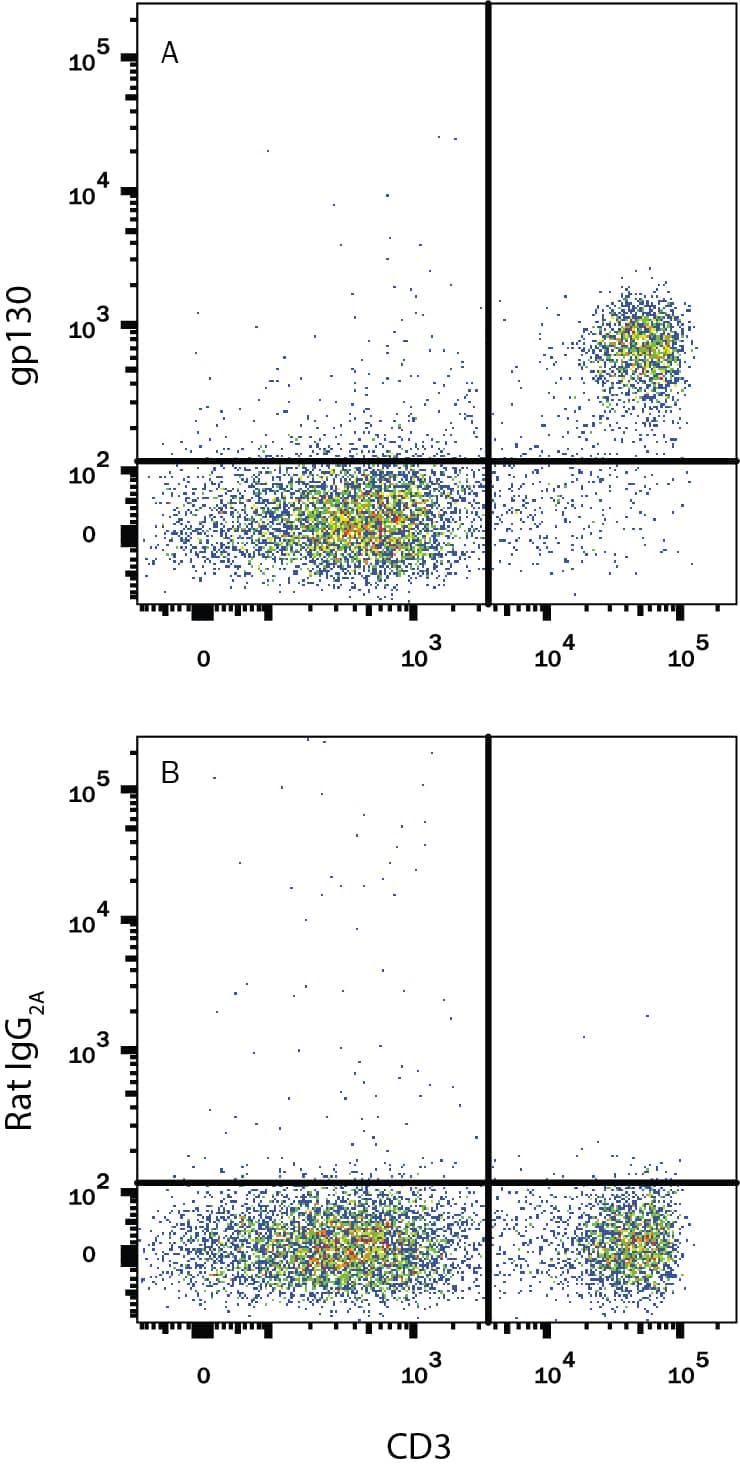 Detection of gp130 antibody in Mouse Splenocytes antibody by Flow Cytometry.