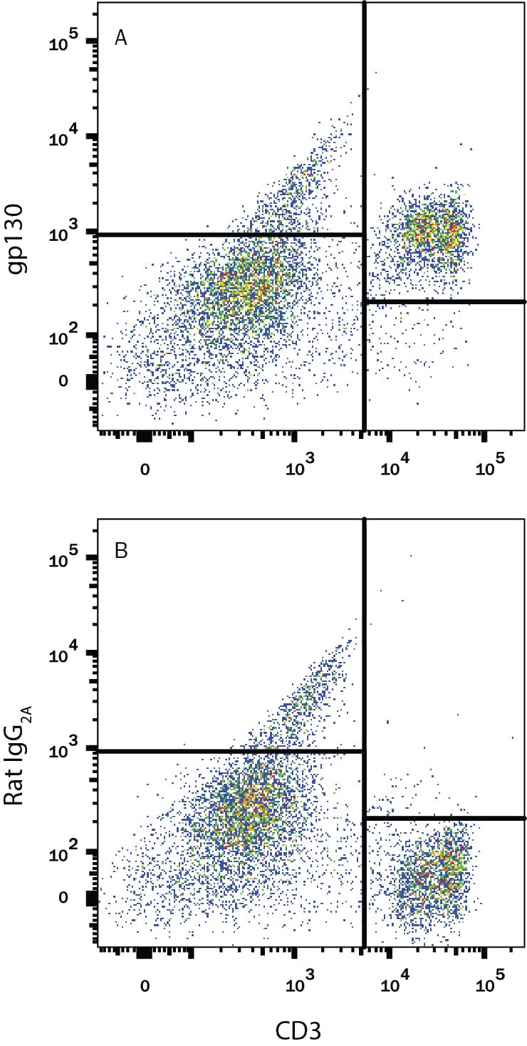 Detection of gp130 antibody in Mouse Splenocytes antibody by Flow Cytometry.