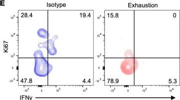 Detection of IgG2B by Flow Cytometry