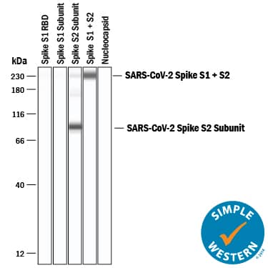 Detection of SARS-CoV-2 Spike S2 Subunit antibody by Simple WesternTM.