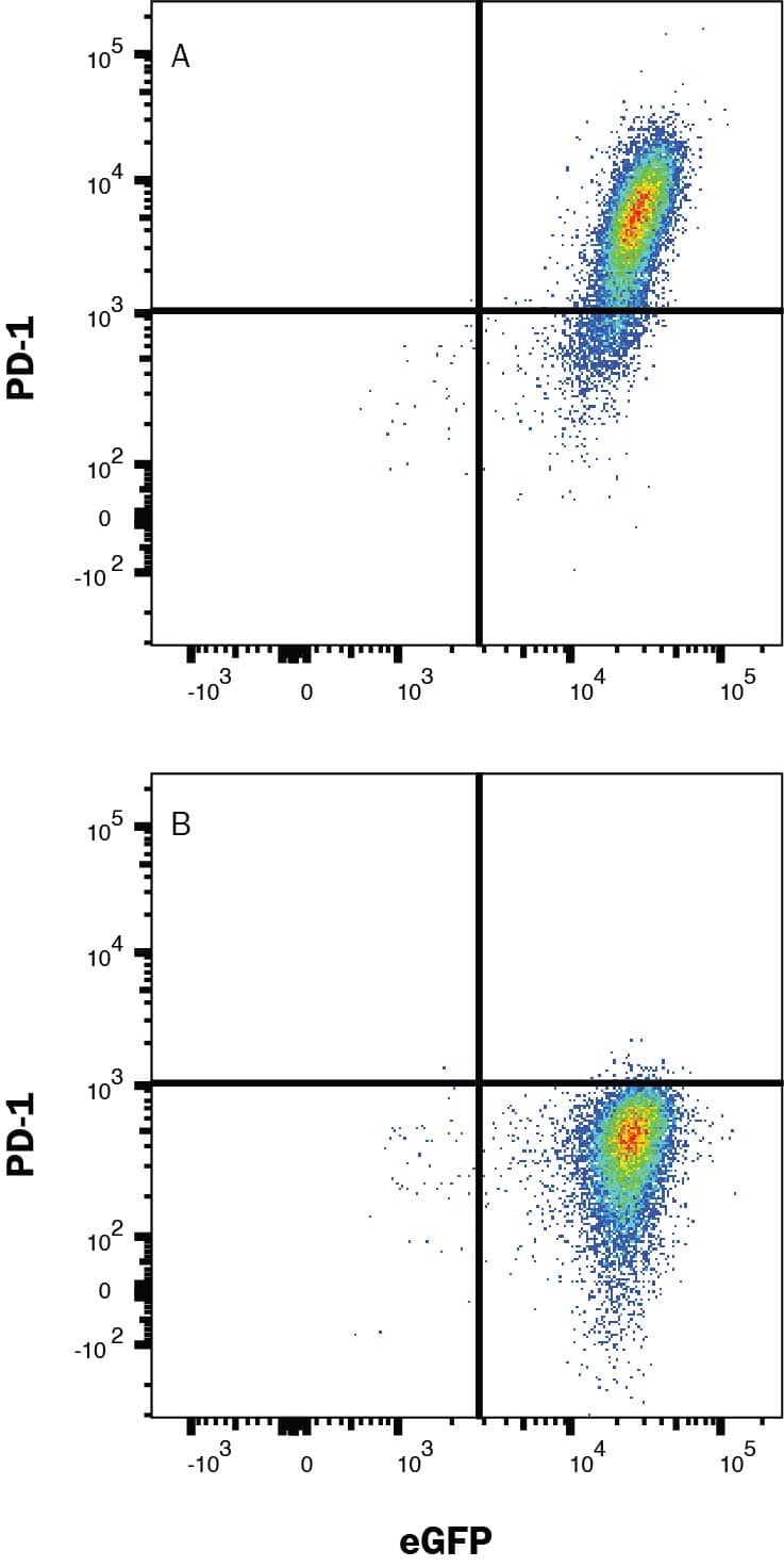 Detection of PD-1 antibody in HEK293 Human Cell Line transfected with Human PD-1 and eGFP antibody by Flow Cytometry