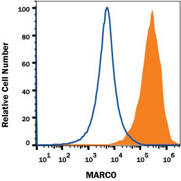 Detection of MARCO antibody in J774 Mouse Cell Line antibody by Flow Cytometry.