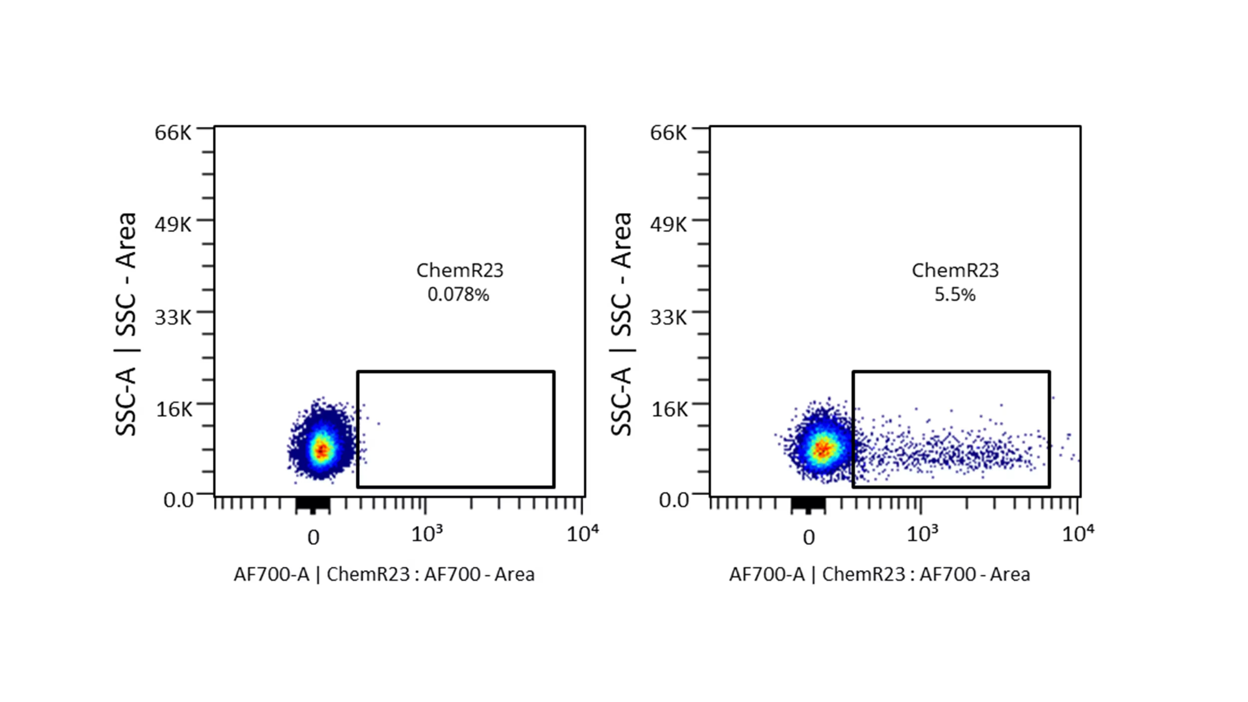 Detection of ChemR23/CMKLR1 by Flow Cytometry.