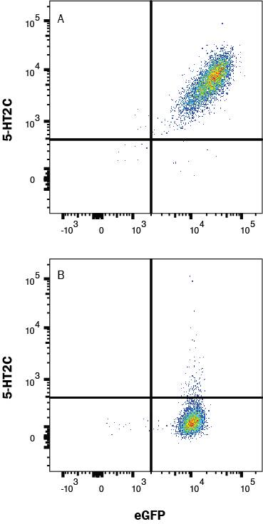Detection of 5-HT2C in HEK293/h5HT2C/eGFP transfectants vs irrelevant transfectants by Flow Cytometry