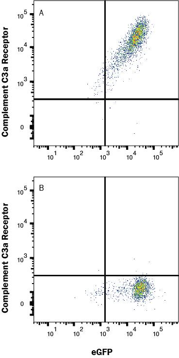 Detection of Complement Component C3aR in HEK293 human embryonic kidney cell line transfected with human C3aR and eGFP vs irrelevant transfectant by Flow Cytometry