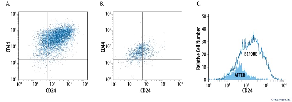 Analysis of CD24low/–CD44+ Cells Isolated using the MagCellect CD24– CD44+ Breast Cancer Stem Cell Isolation Kit.