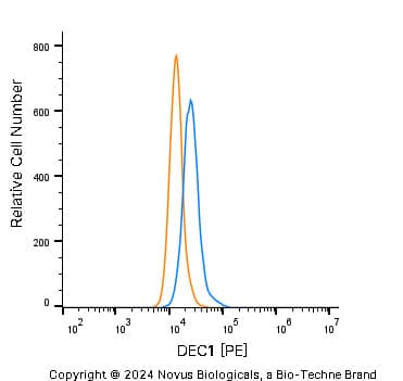 DEC1 Antibody - BSA Free