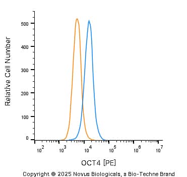 OCT4 Antibody - BSA Free