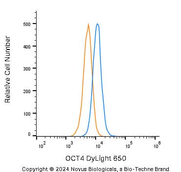 OCT4 Antibody - BSA Free