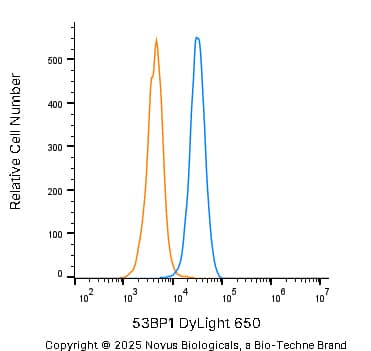 53BP1 Antibody - BSA Free
