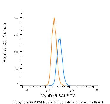 MyoD Antibody (5.8A) - BSA Free