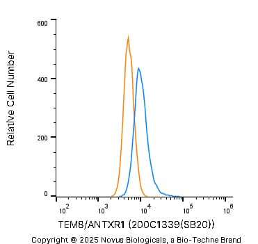 TEM8/ANTXR1 Antibody (200C1339(SB20)) - BSA Free