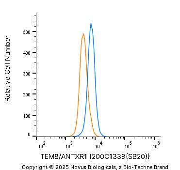 TEM8/ANTXR1 Antibody (200C1339(SB20)) - BSA Free